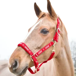 New Hamptons grime Grimer