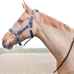 Discount Holbrook kjettingleietau Leietau