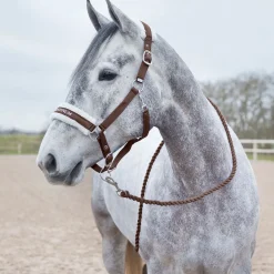 Hot Howard mykt leietau Leietau