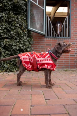 Discount julegenser til hund Hundeklær Og Hundedekken