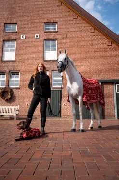 Hot juleteppe Hestedekken Tilbehør|Ulldekken Og Svettedekken