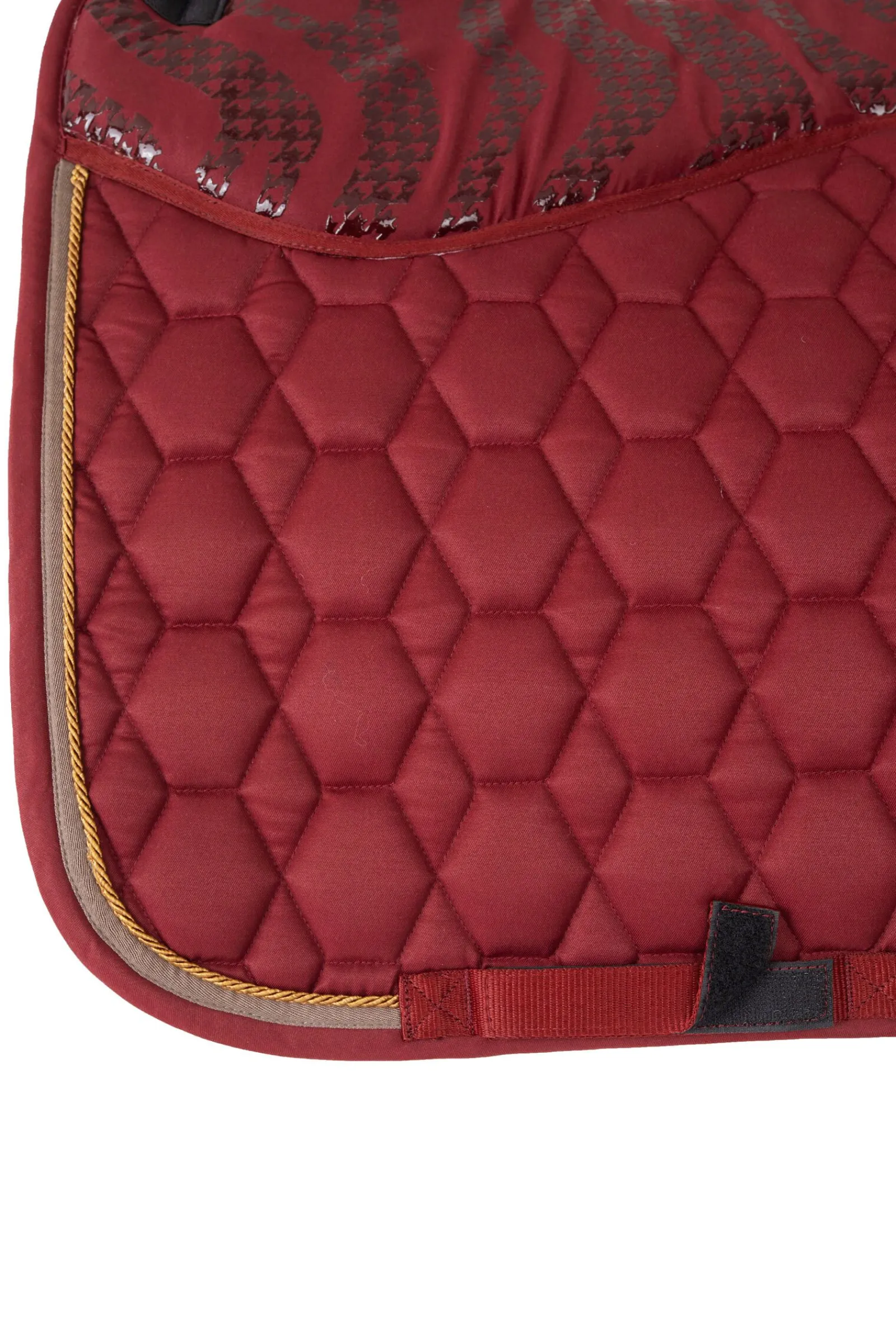 New Kenya dressursjabrak Dressursjabraker