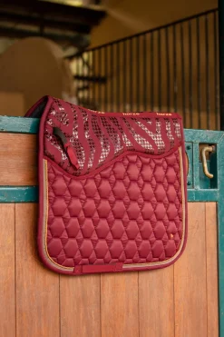 New Kenya dressursjabrak Dressursjabraker