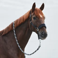 Discount Kiel leietau Leietau