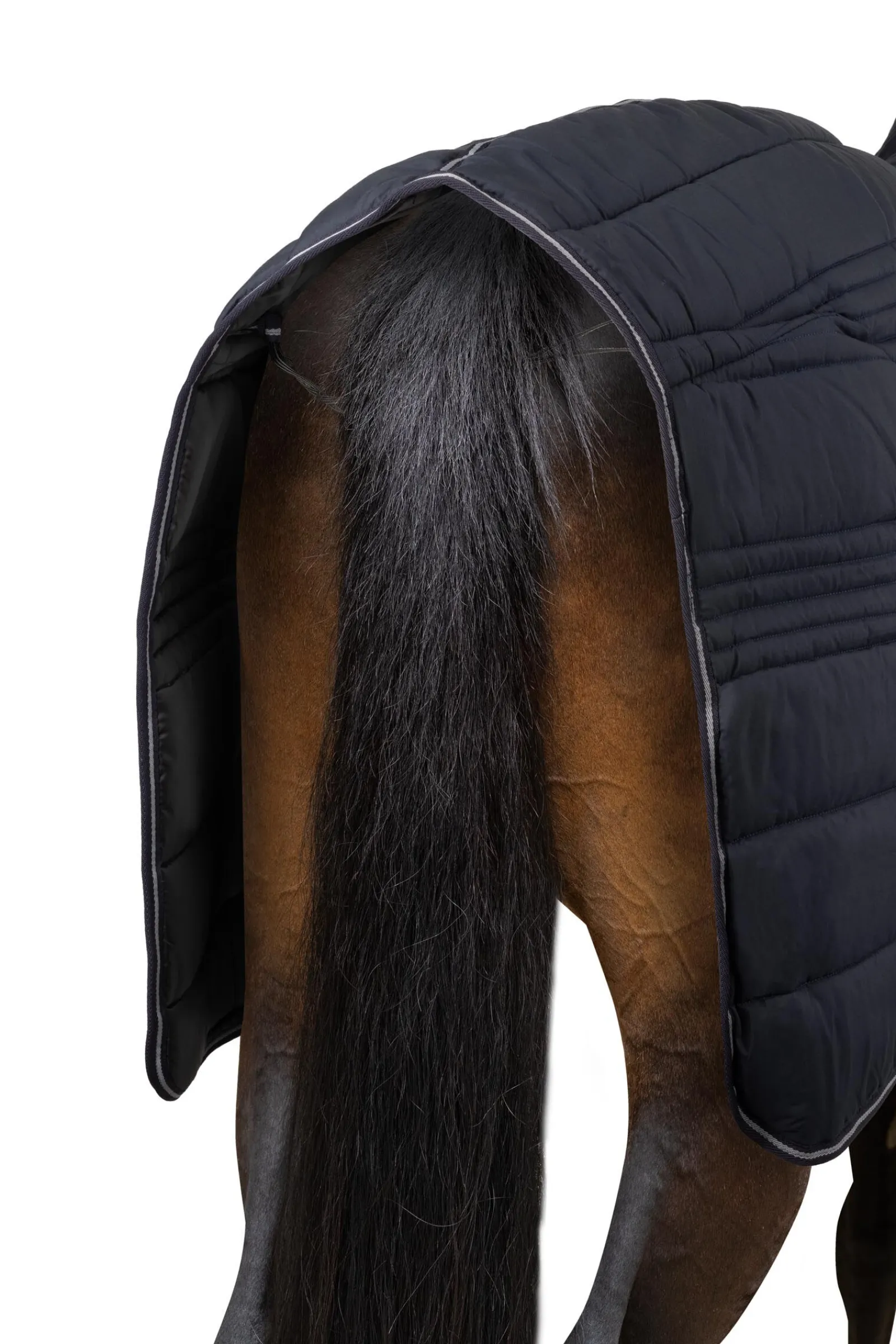 New Kingsley stalldekken med hel hals, 300 gram Stalldekken