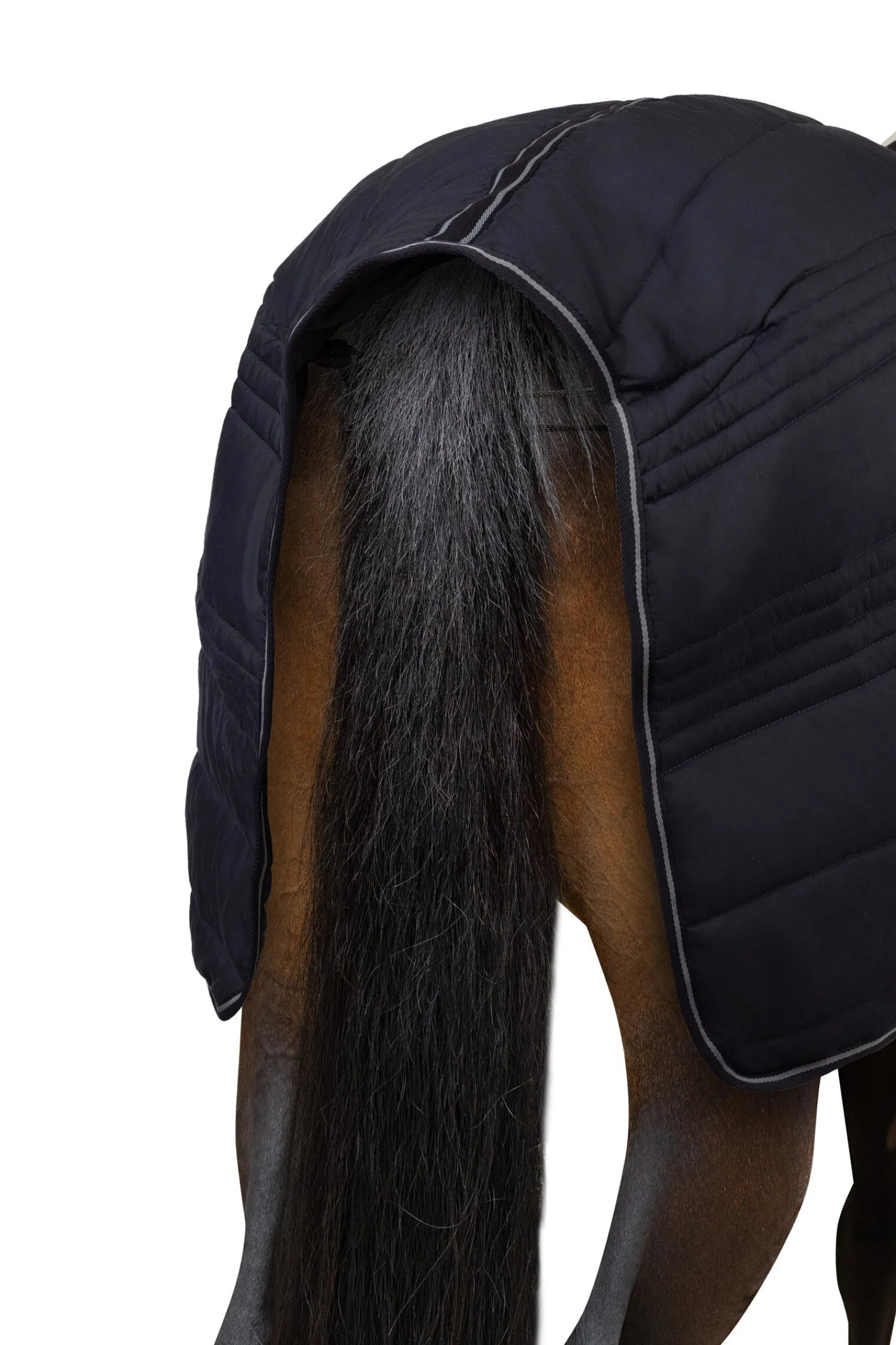 Best Kingsley stalldekken, 150 gram Stalldekken