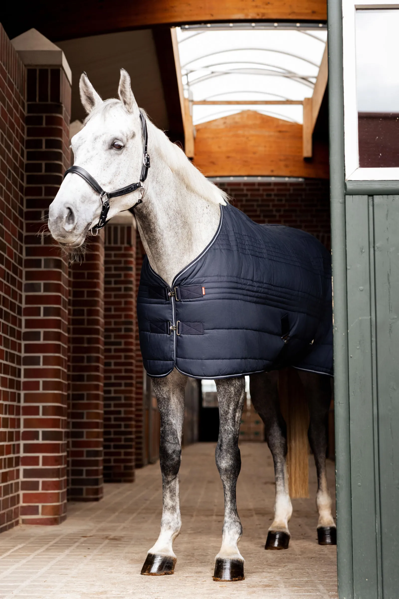 Best Kingsley stalldekken, 150 gram Stalldekken