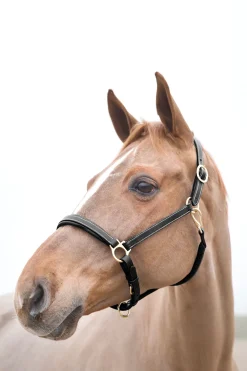 Clearance Largo lærgrime Lærgrimer