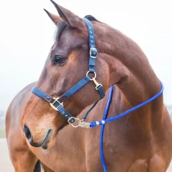 leietau, panikkrok Leietau