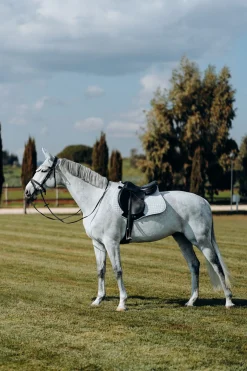 Best LIMITED EDITION Cooling sjabrak, allround Ponni Sjabrak|Allround- Og Sprangsjabraker