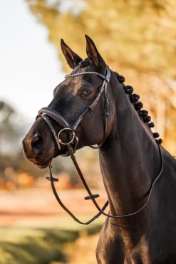 Hot Lockhart anatomisk hodelag Ponni Hodelag Og Grimer|Hodelag & Nesereimer