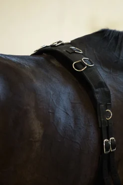 longeringsgjord i nylon Longeringsliner Og Doble Longeringsliner|Longeringsliner Og Doble Longeringsliner