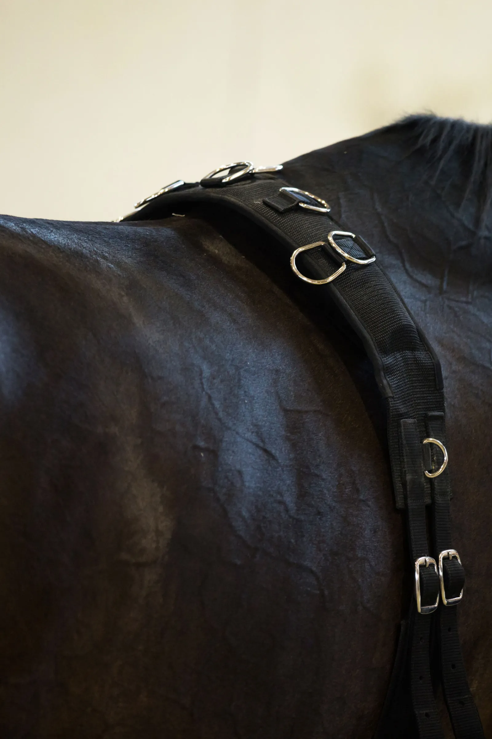 longeringsgjord i nylon Longeringsliner Og Doble Longeringsliner|Longeringsliner Og Doble Longeringsliner