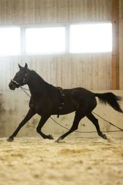 longeringsgjord i nylon Longeringsliner Og Doble Longeringsliner|Longeringsliner Og Doble Longeringsliner