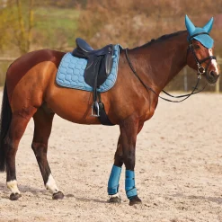 Best Marquees stryksokker i neopren Belegg Til Hest
