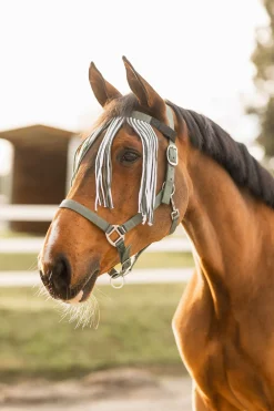 Best Moreton grime, leietau og fluefrynser, sett Grimer