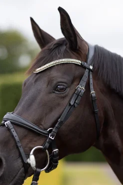 Online Nature made leisure pannebånd Pannereim
