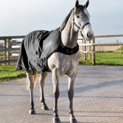 Outlet Nevada Walker dekken, 200 gram Skrittedekken Vanntett