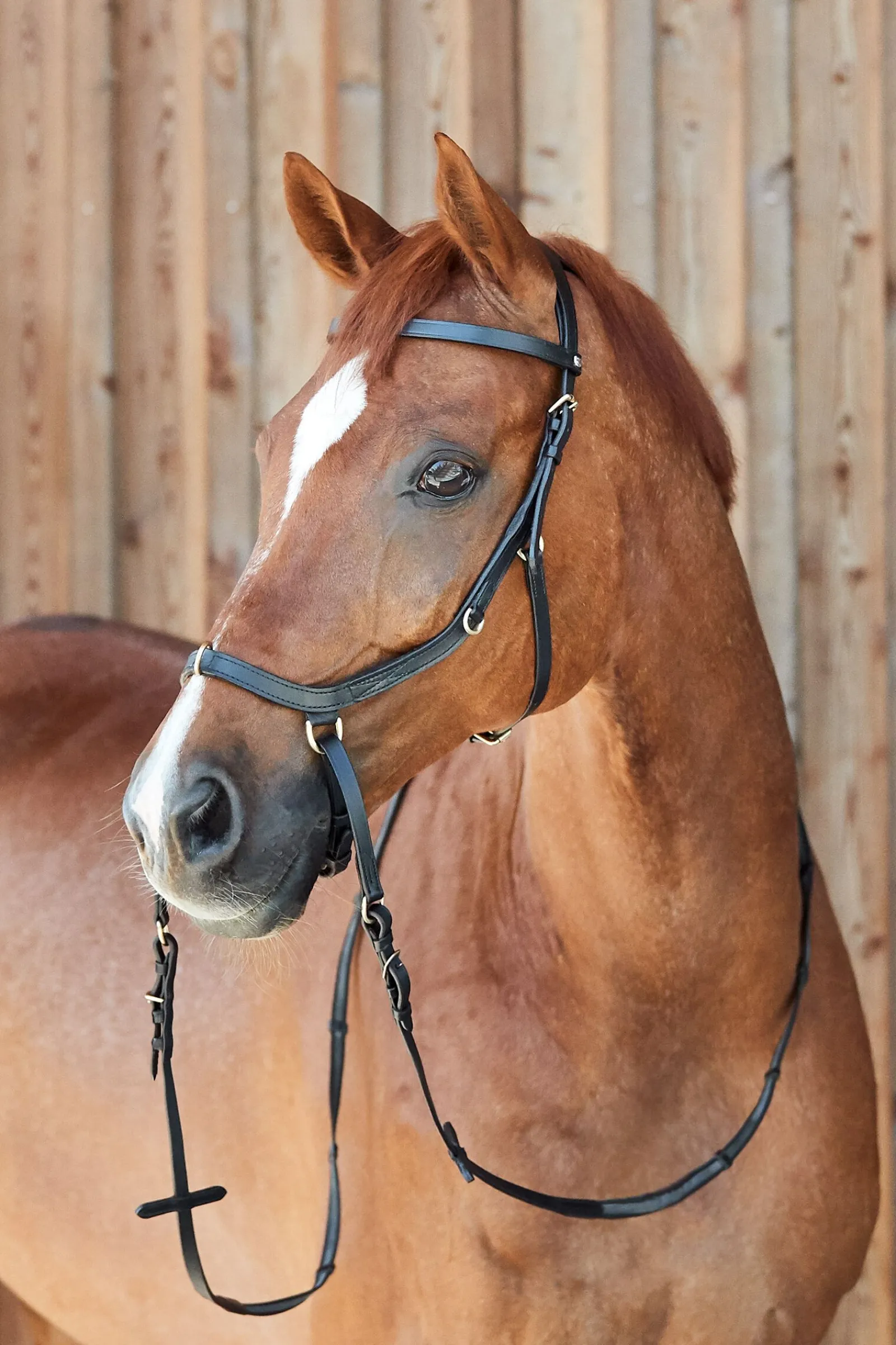 Hot Orlando kombinert anatomisk bittløst hodelag Ponni Hodelag Og Grimer|Hodelag & Nesereimer