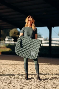 Sale Oslo dressursjabrak Dressursjabraker