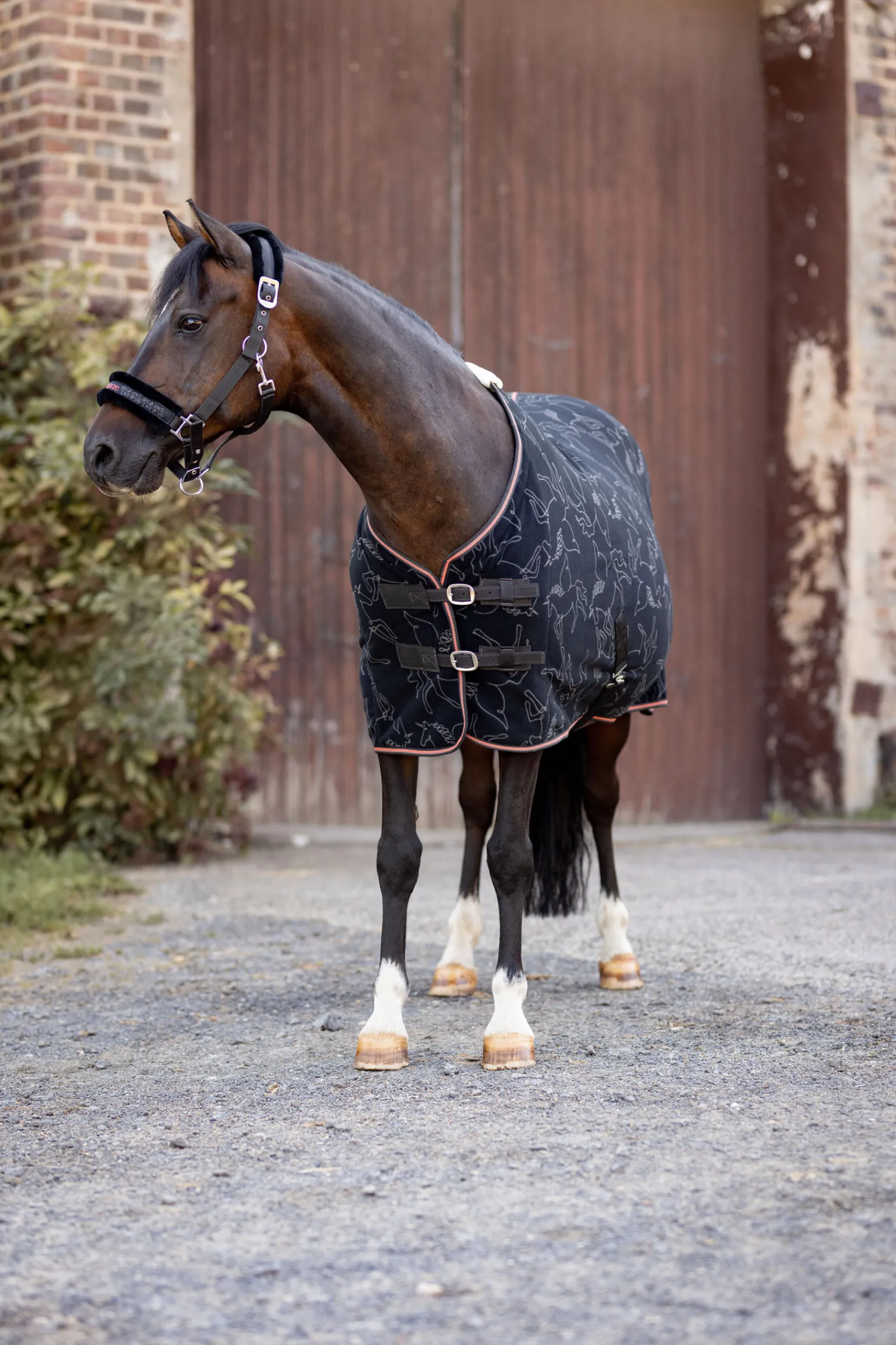 New Pegasus fleece Cooler-dekken til ponni Ponnidekken|Ponnidekken