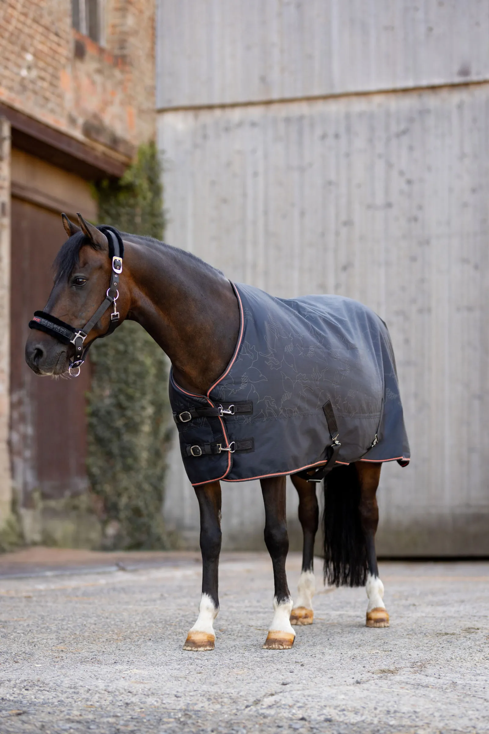 Online Pegasus ponnidekken 200 g/m² Ponnidekken|Ponnidekken