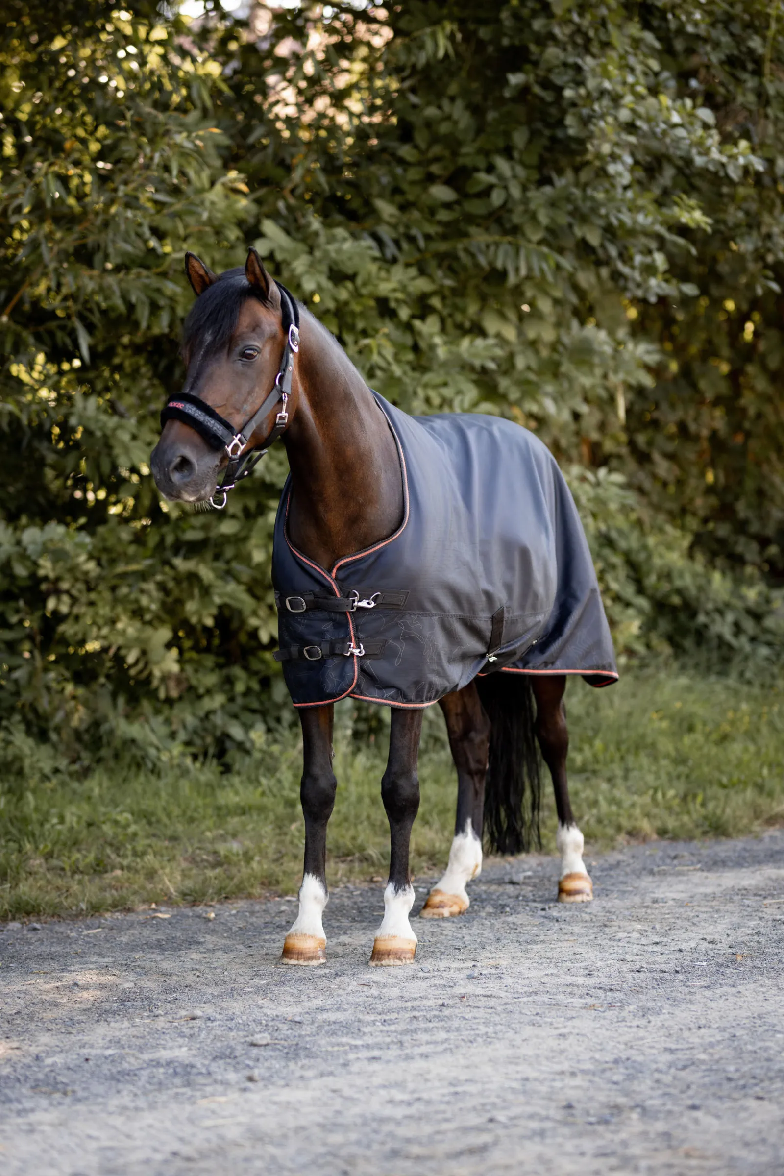 Best Pegasus ponnidekken med fleecefôr Ponnidekken|Ponnidekken