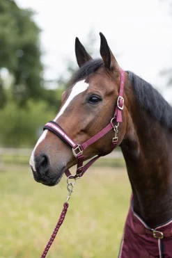 Best Physical Sophistication grime, sett Grimer