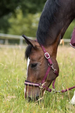 Best Physical Sophistication grime, sett Grimer