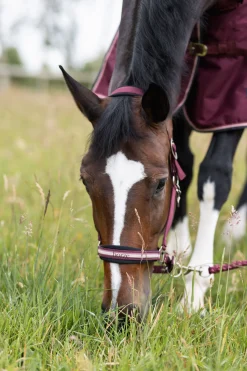 Best Physical Sophistication grime, sett Grimer