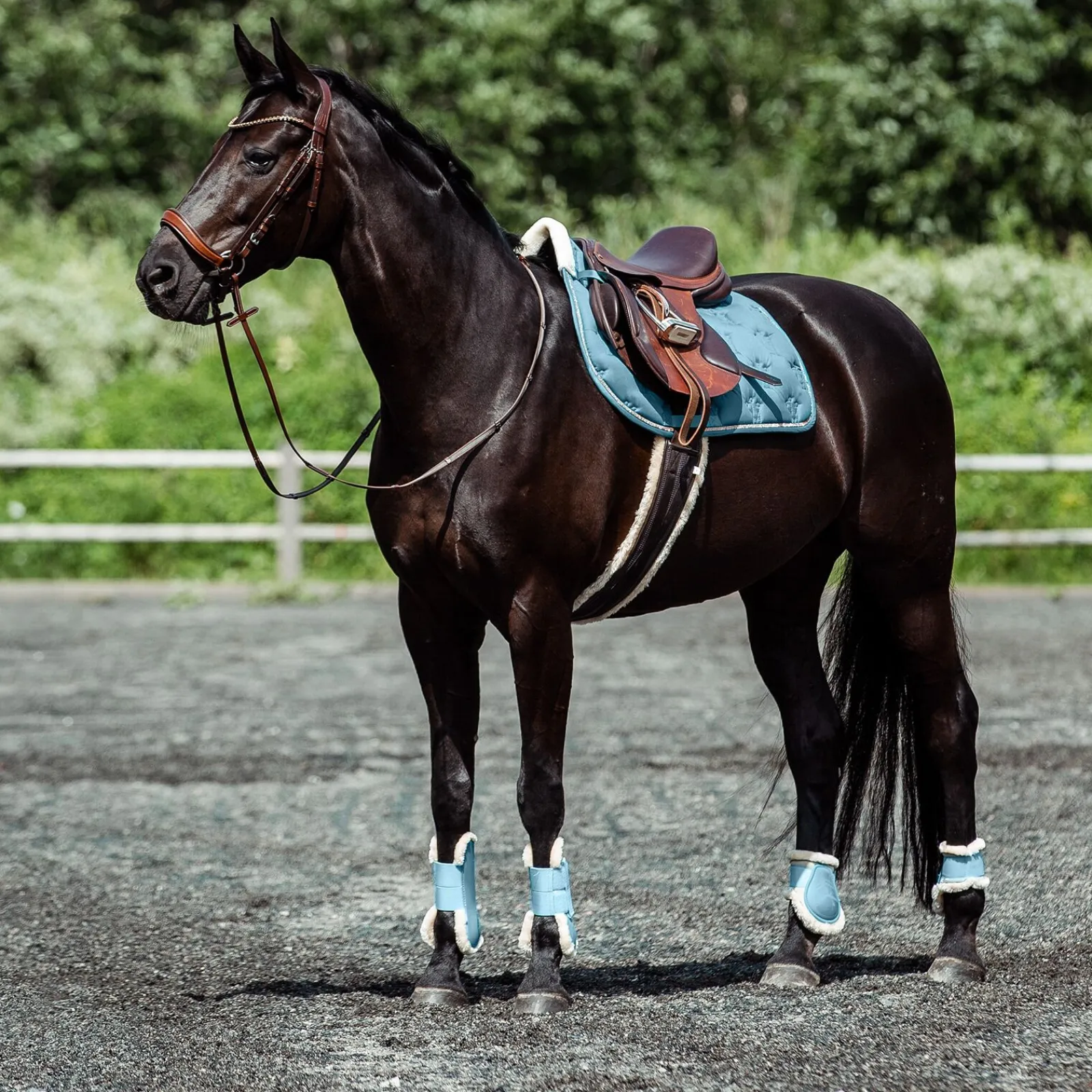 New Positano Hannover anatomisk hodelag Ponni Hodelag Og Grimer|Hodelag & Nesereimer