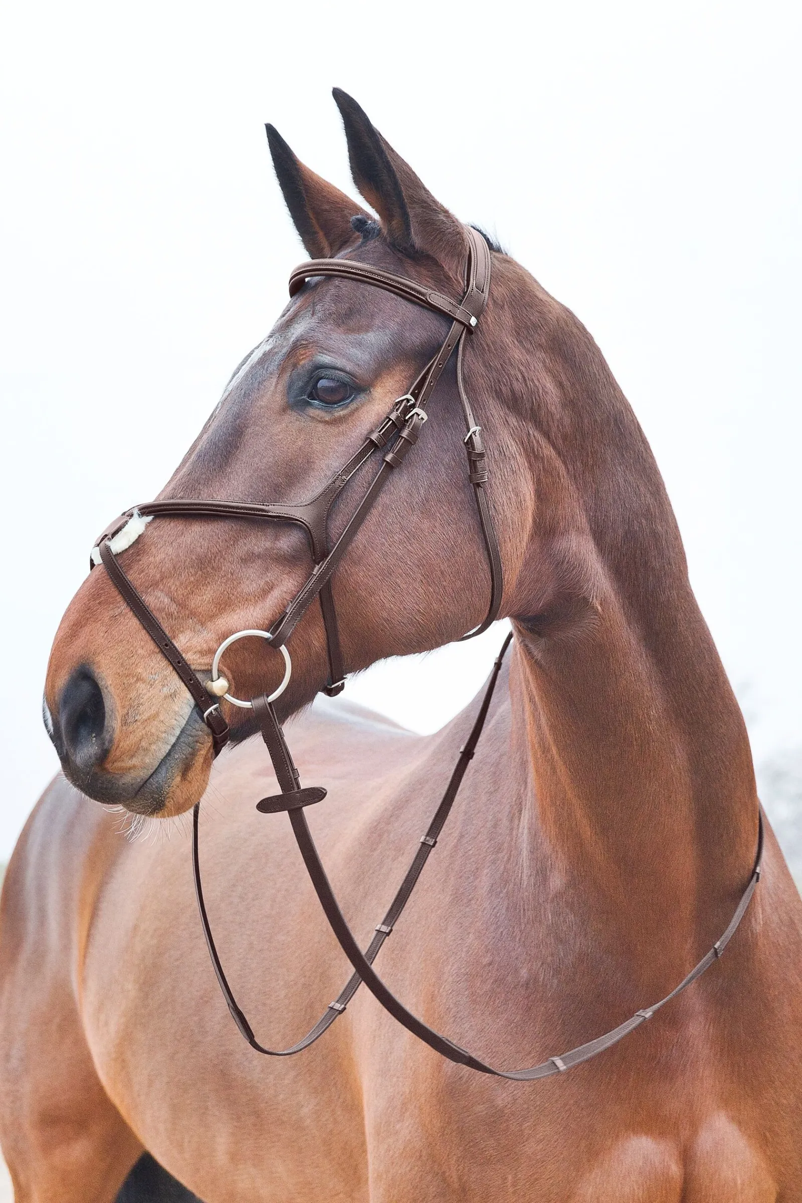 Sale Prescott hodelag med kryssnesereim Hodelag & Nesereimer