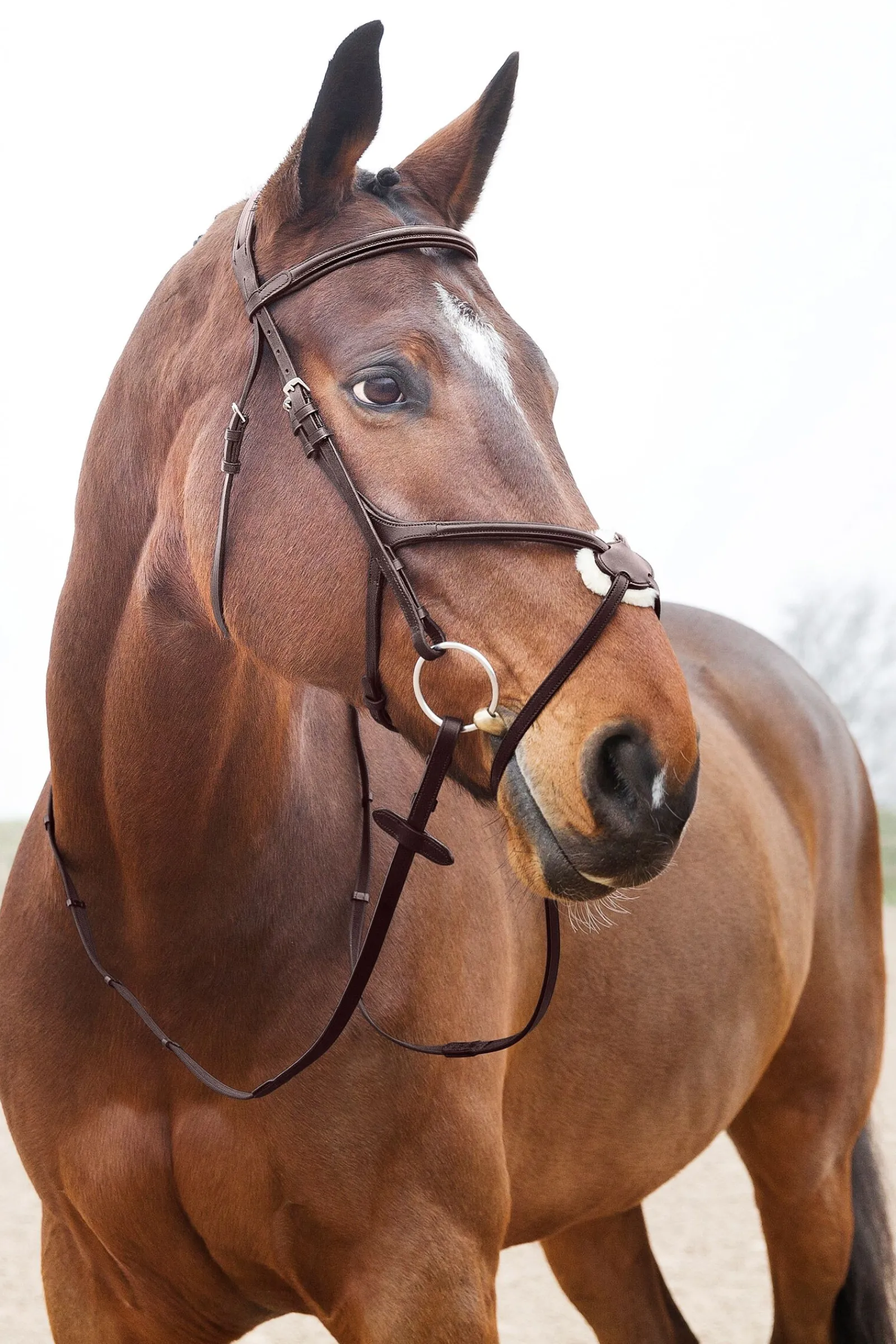 Sale Prescott hodelag med kryssnesereim Hodelag & Nesereimer