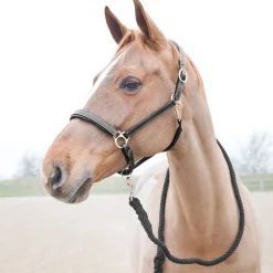 Best Price-Z leietau Leietau