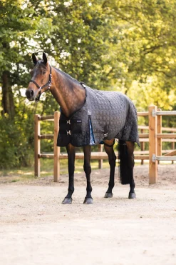 Best Quebec stalldekken, 100 gram Stalldekken