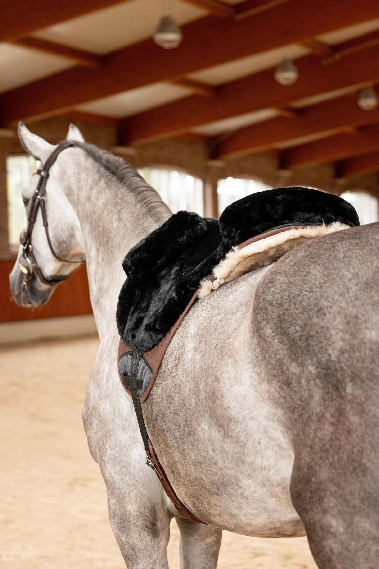 Sale ridematte i sauefell Nettdrevne Gjerdeapparater & Batteridrevne Gjerdeapparater|Saler