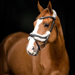 Sale Rome anatomisk hodelag Hodelag & Nesereimer