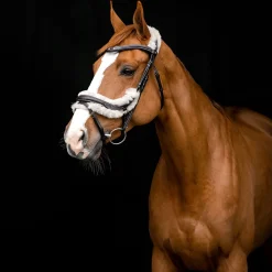 Sale Rome anatomisk hodelag Hodelag & Nesereimer