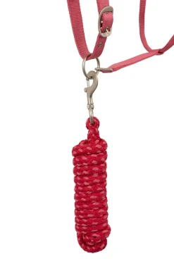 Best Rose Tonique grime Grimer