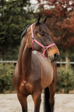 Best Rose Tonique grime Grimer