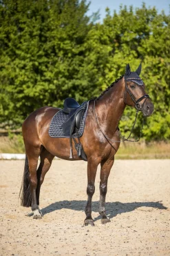 Discount Sandnes dressursjabrak Dressursjabraker