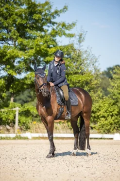 Discount Sandnes dressursjabrak Dressursjabraker