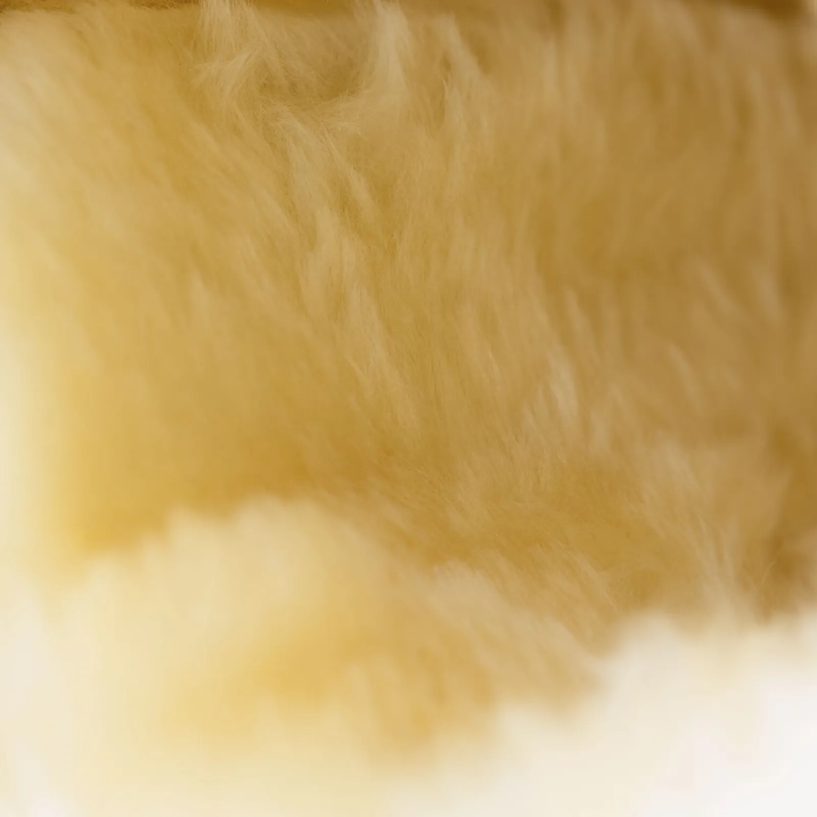 Sale Signature stryksokker Belegg Til Hest