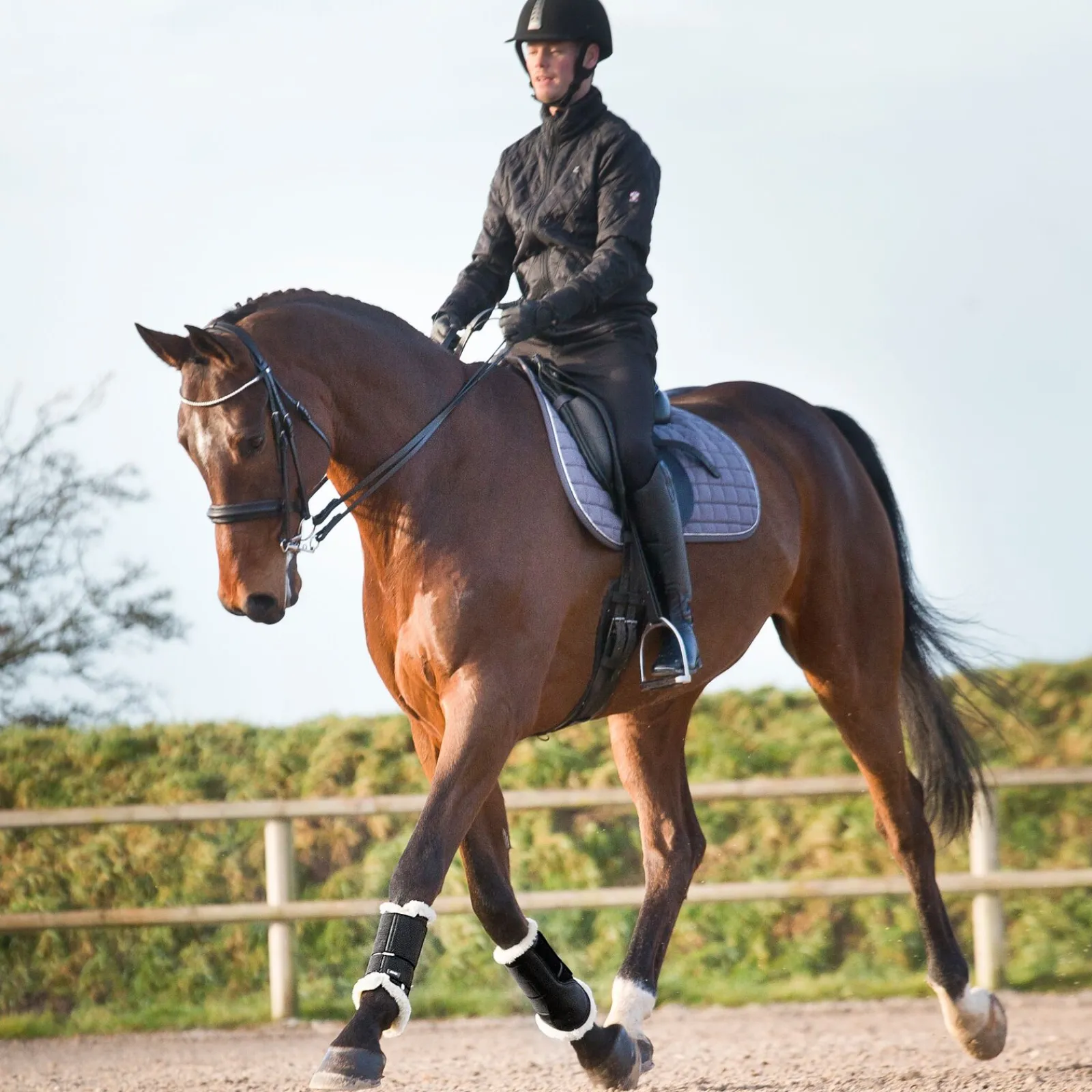 Sale Signature stryksokker Belegg Til Hest