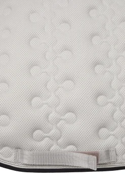 Smoky Twilight dressursjabrak Dressursjabraker