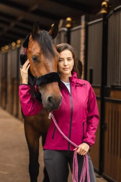 Online Smoky Twilight leietau med klipskrok Leietau