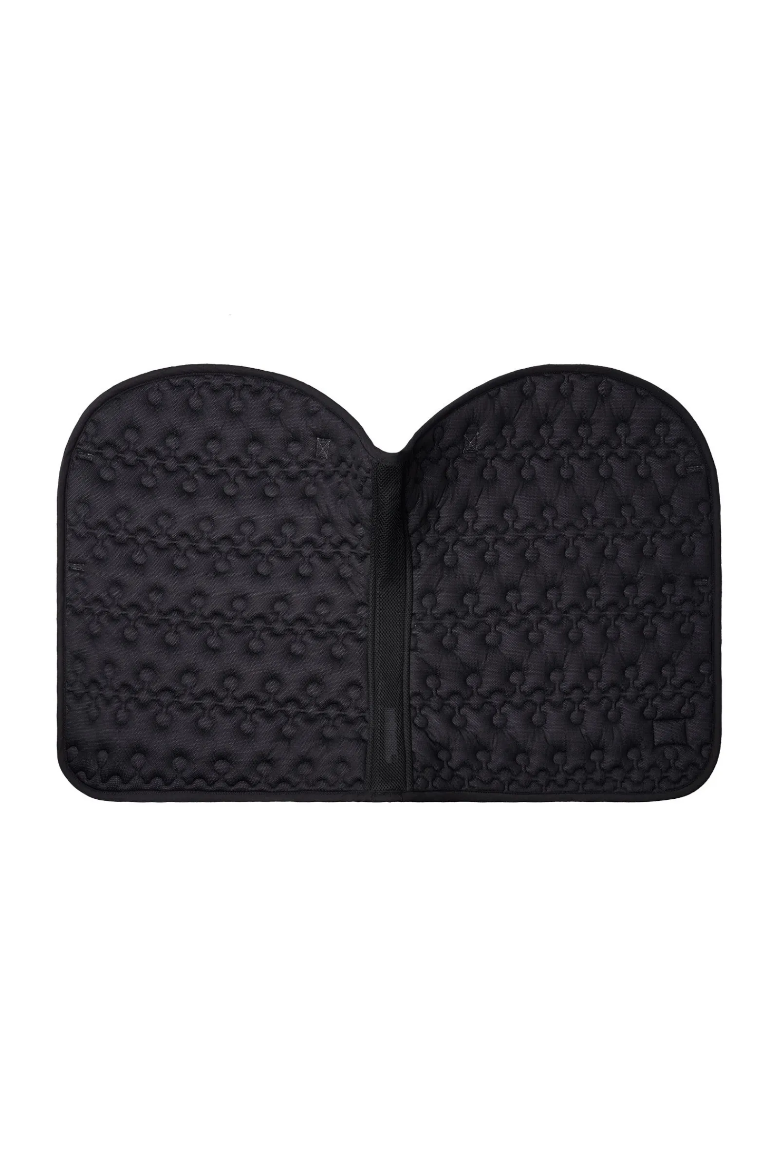 Smoky Twilight sprangsjabrak Ponni Sjabrak|Allround- Og Sprangsjabraker