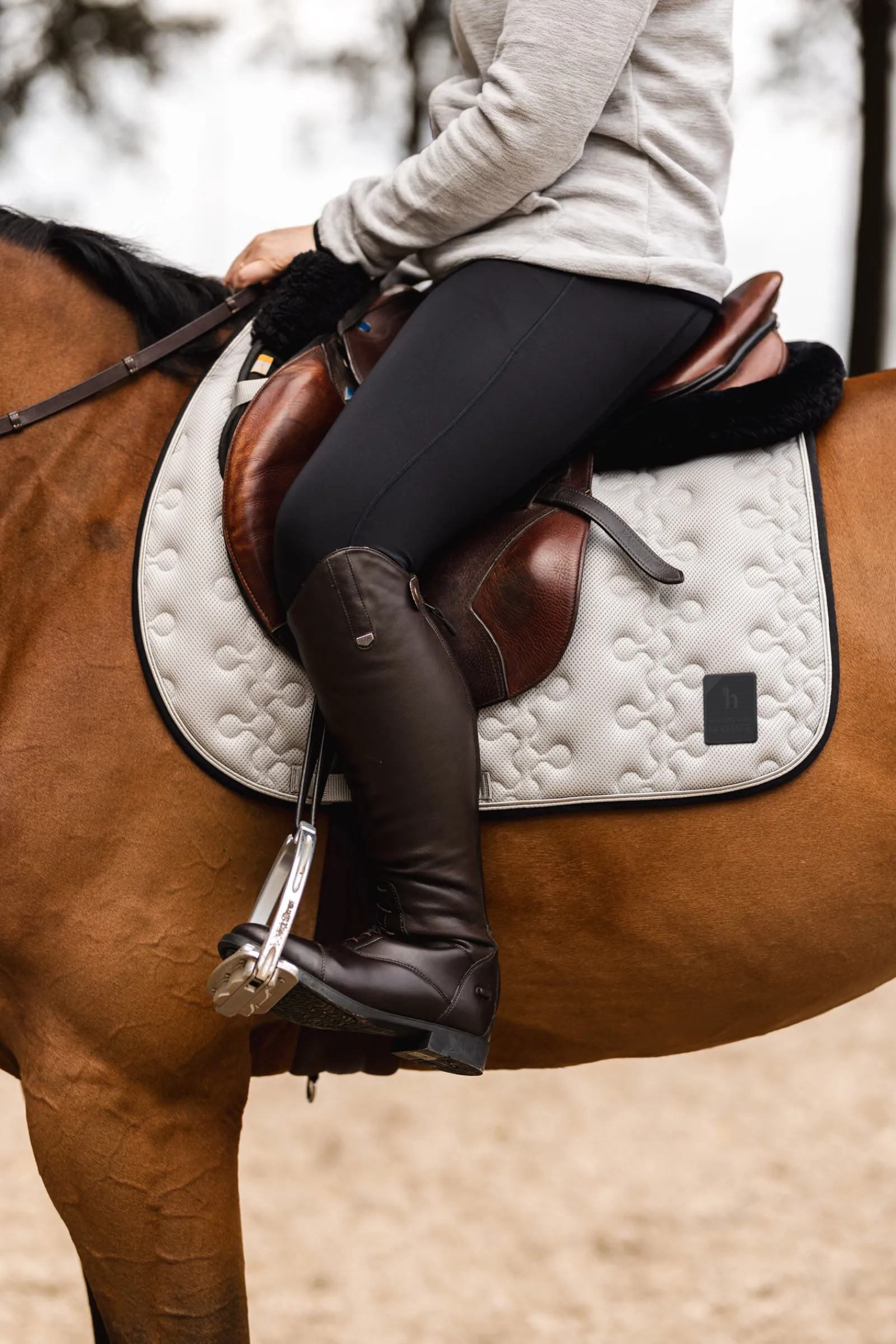 Smoky Twilight sprangsjabrak Ponni Sjabrak|Allround- Og Sprangsjabraker