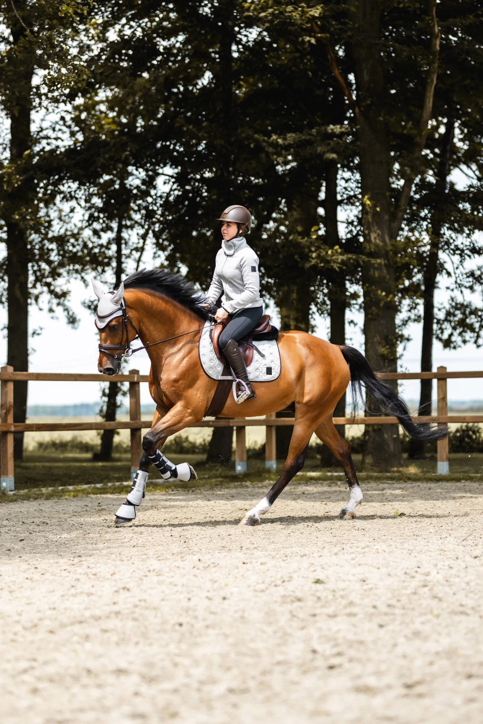 Smoky Twilight sprangsjabrak Ponni Sjabrak|Allround- Og Sprangsjabraker