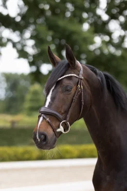 New Somerset anatomisk hodelag Ponni Hodelag Og Grimer|Hodelag & Nesereimer